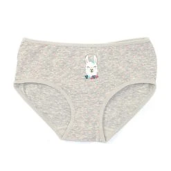 Best reviews of ✔️ Adventure Wear By Copper Key Little ???? Girls 2T-5 Llama Print Brief Panties Grey Heather ✨