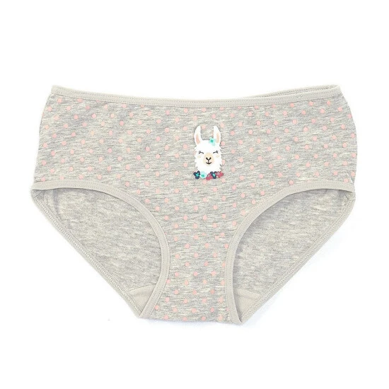 Best reviews of ✔️ Adventure Wear By Copper Key Little ???? Girls 2T-5 Llama Print Brief Panties Grey Heather ✨ 1 Best reviews of ✔️ Adventure Wear By Copper Key Little ???? Girls 2T-5 Llama Print Brief Panties Grey Heather ✨