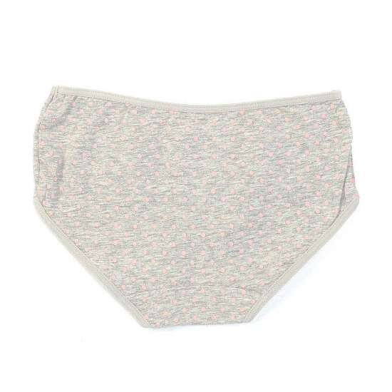 Best reviews of ✔️ Adventure Wear By Copper Key Little ???? Girls 2T-5 Llama Print Brief Panties Grey Heather ✨ 2 Best reviews of ✔️ Adventure Wear By Copper Key Little ???? Girls 2T-5 Llama Print Brief Panties Grey Heather ✨ - Image 2
