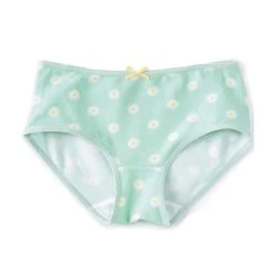 Coupon ???? Adventure Wear By Copper Key Little ???? Girls 2T-5 Daisies Brief Panties Green ????