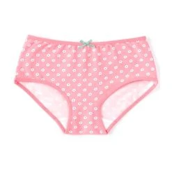 Best deal ???? Adventure Wear By Copper Key Little ???? Girls 2T-5 Flower Fields Brief Panties ????