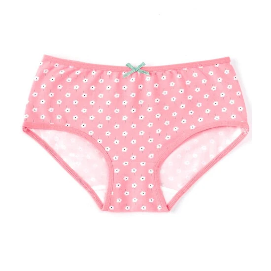 Best deal ???? Adventure Wear By Copper Key Little ???? Girls 2T-5 Flower Fields Brief Panties ???? 1 Best deal ???? Adventure Wear By Copper Key Little ???? Girls 2T-5 Flower Fields Brief Panties ????