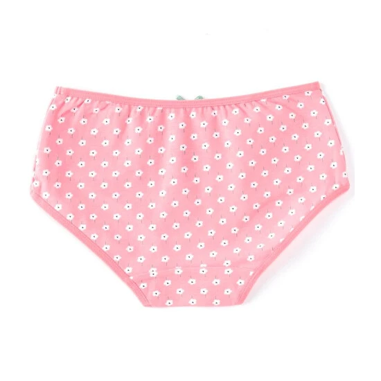 Best deal ???? Adventure Wear By Copper Key Little ???? Girls 2T-5 Flower Fields Brief Panties ???? 2 Best deal ???? Adventure Wear By Copper Key Little ???? Girls 2T-5 Flower Fields Brief Panties ???? - Image 2