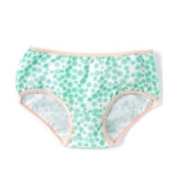 Cheapest ???? Adventure Wear By Copper Key Little ???? Girls 2T-5 Cotton Floral Brief Panties Floral Mint ????