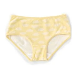 Cheap ???? Adventure Wear By Copper Key Little ???? Girls 2T-5 Cloud Brief Panties Yellow ????